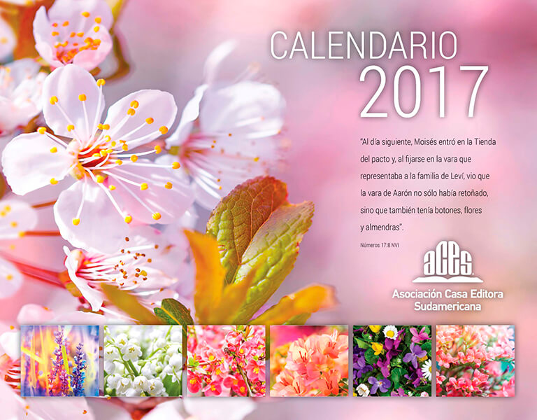 Calendario ACES 2017