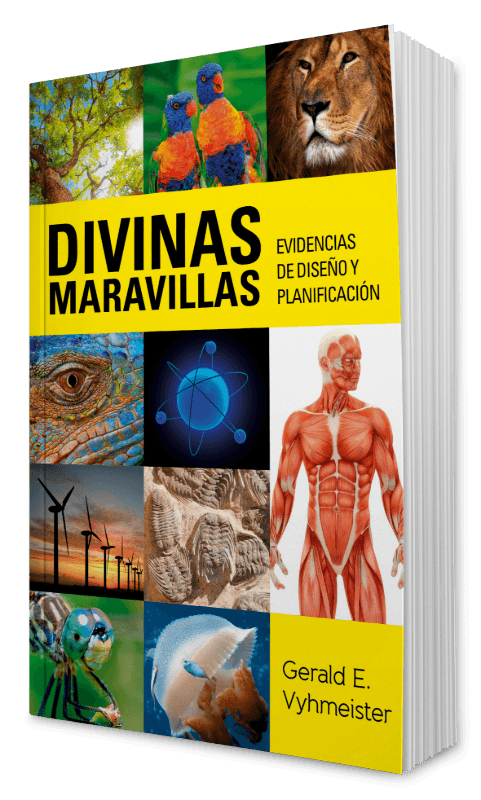 Divinas maravillas