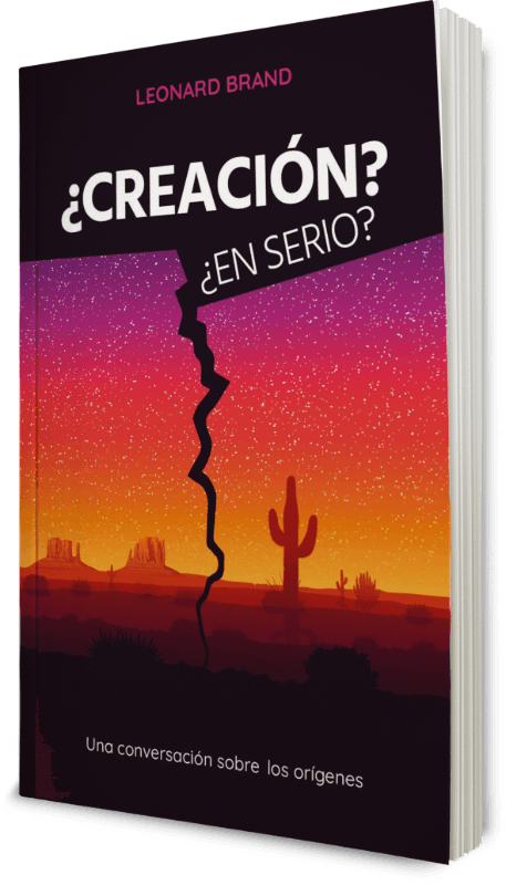 ¿Creación? ¿En serio?
