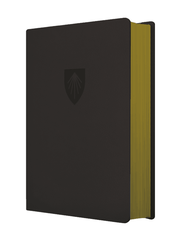 Biblia de Estudio Andrews - Negro