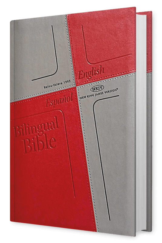 Biblia Bilingüe RV95-New King James - Gris