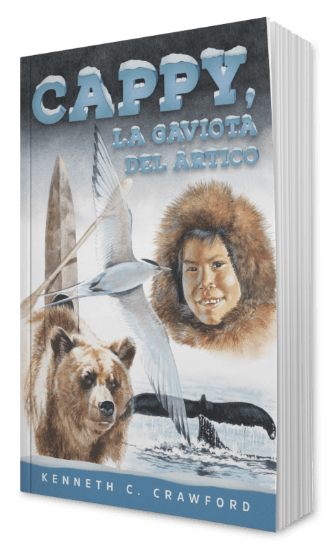 Cappy, la gaviota del Ártico