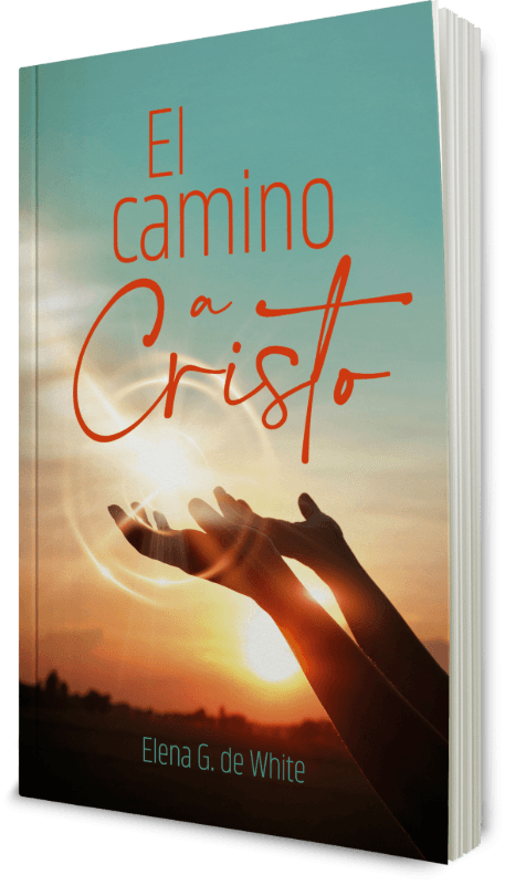 El camino a Cristo TF bolsillo – Perdón
