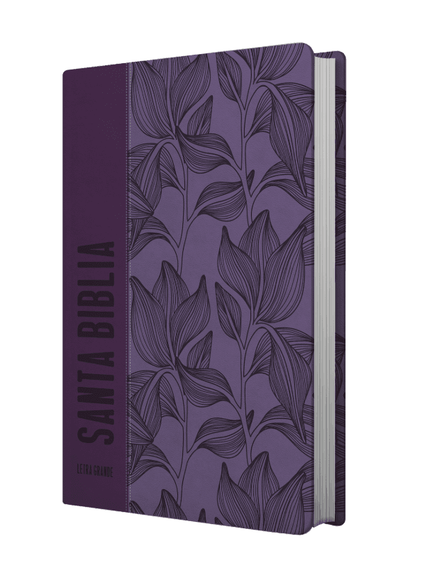 Biblia NRV 2000 ACT LG – Violeta