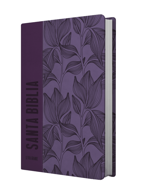 Biblia NRV 2000 ACT LG – Violeta