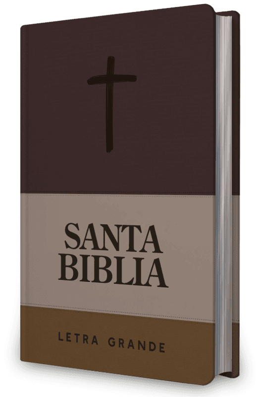 Biblia NRV 2000 ACT LG – Marrón y beige