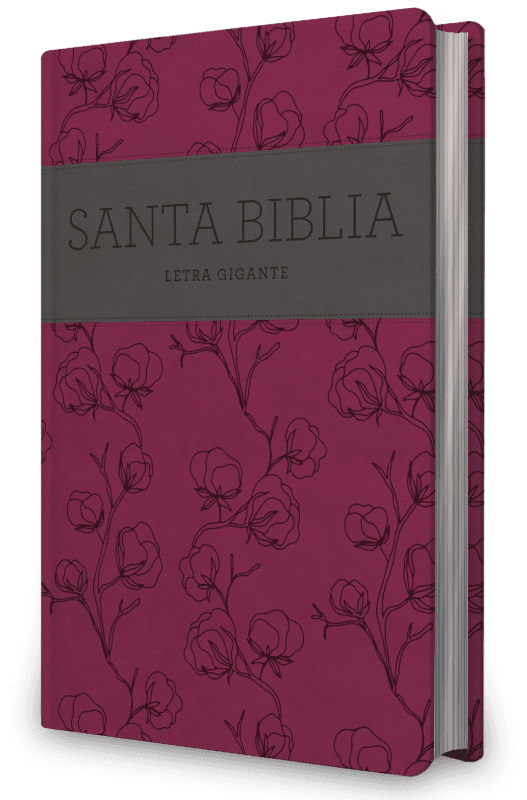 Biblia NRV 2000 ACT LGig – Rosa y gris