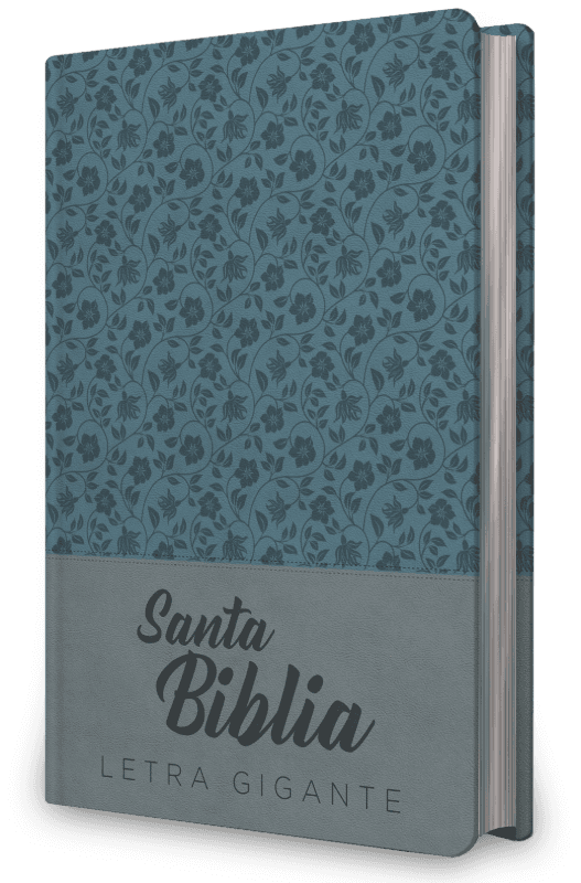 Biblia NRV 2000 ACT LGig – Verde
