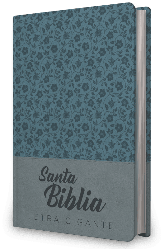 Biblia NRV 2000 ACT LGig – Verde