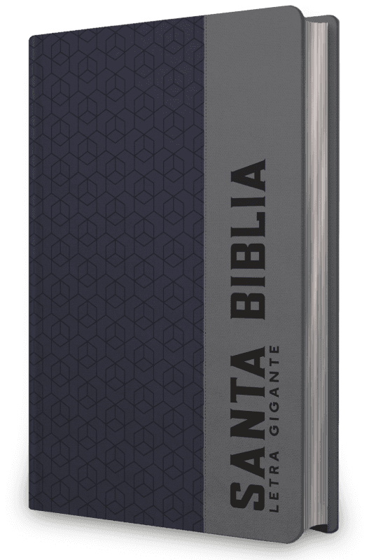 Biblia NRV 2000 ACT LGig – Azul y gris
