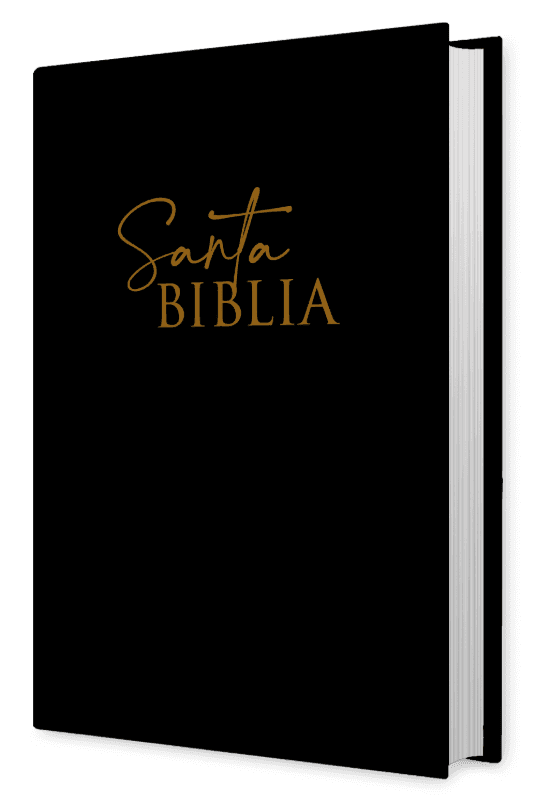Biblia NRV 2000 ACT - Negro
