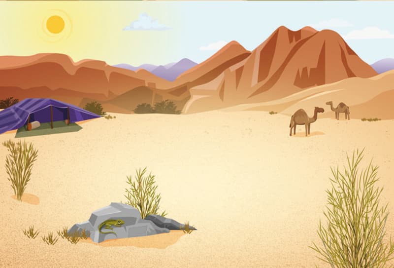Fondo papel: Desierto - 2ed.