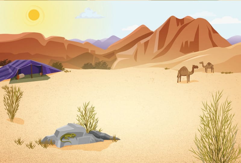 Fondo papel: Desierto - 2ed.